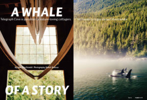 2016 Photo Series Bronze, Cottage Life, A Whale of a Story