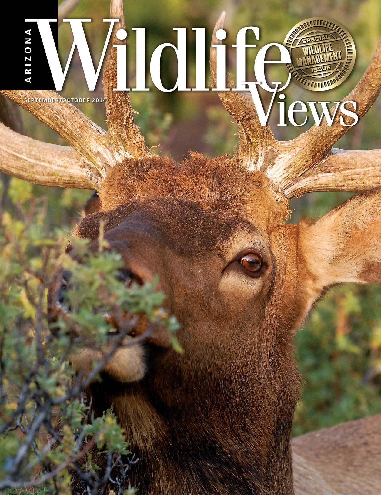 Arizona Wildlife Views International Regional Magazine Association