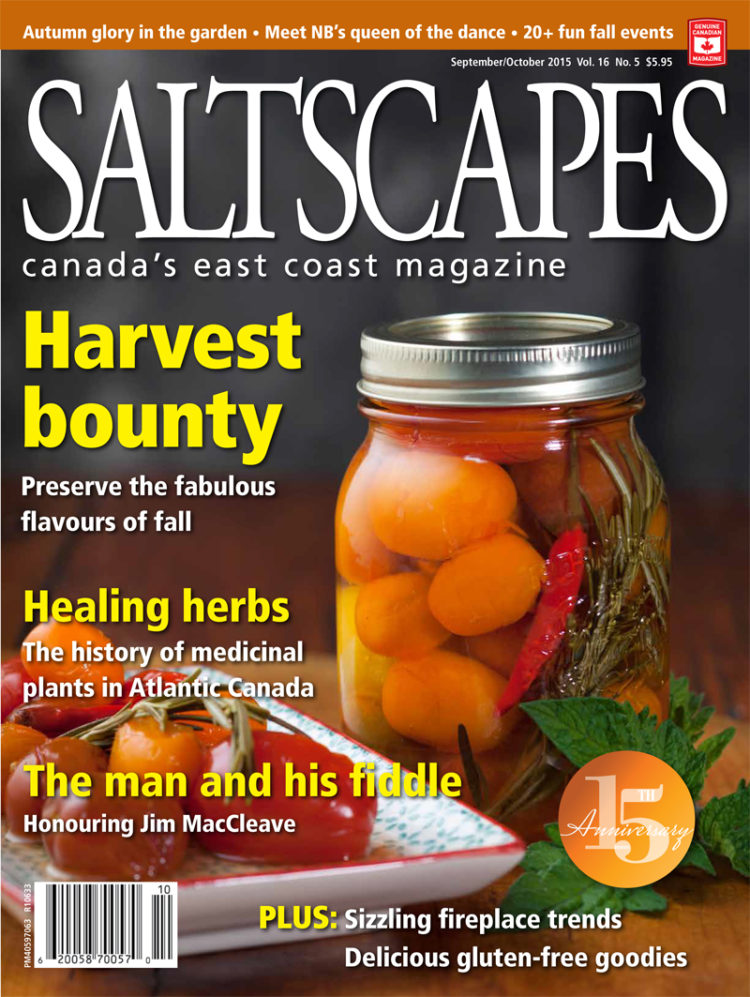 Saltscapes