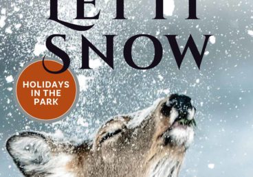 A magazine cover with the words Let it Snow and a deer tilting its face up gently into a sprinkle of snowflakes.