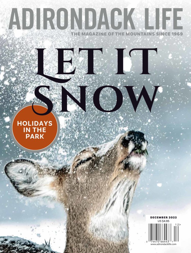 A magazine cover with the words Let it Snow and a deer tilting its face up gently into a sprinkle of snowflakes.