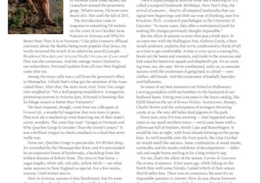 Column 2023