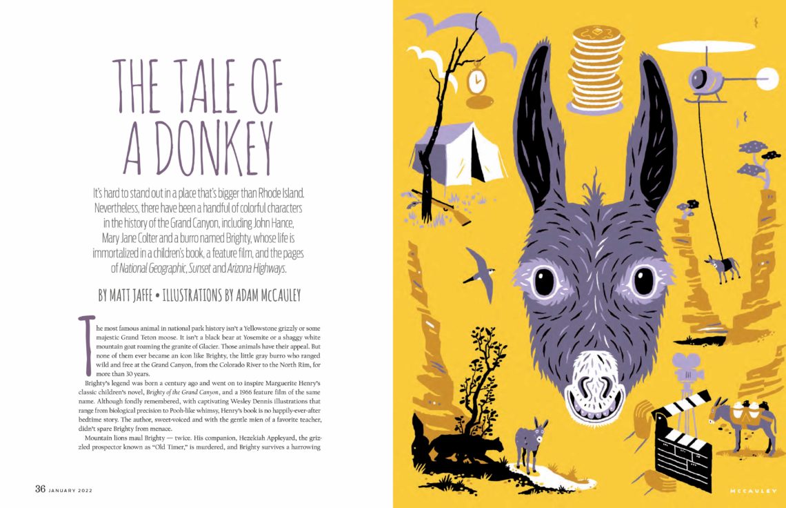 An illustration of a grey donkey head. The donkey's name is Brighty, and he is famous for being in a children's book and many magazines.