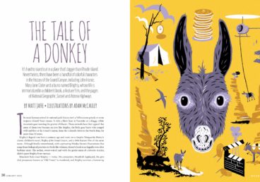 An illustration of a grey donkey head. The donkey's name is Brighty, and he is famous for being in a children's book and many magazines.