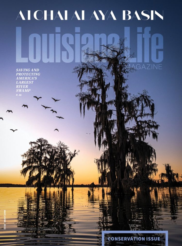 Louisiana Life